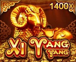 XiYangYang
