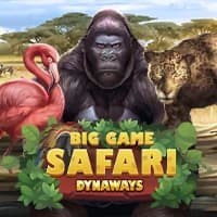 Big Game Safari
