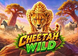 Cheetah Wild