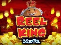 Reel King Mega