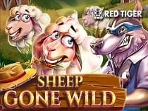 Sheep Gone Wild